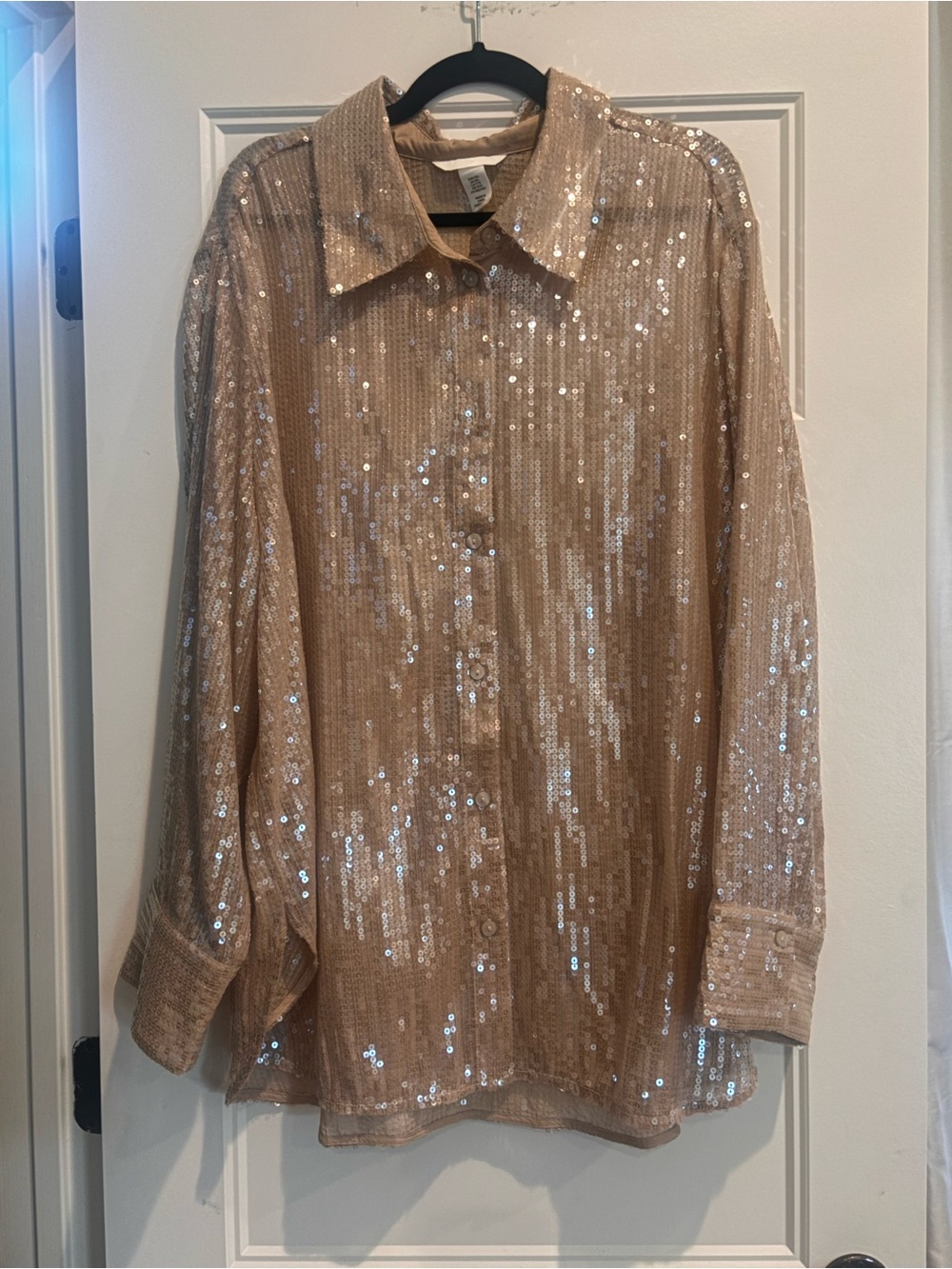H&M Champagne Sequin Button-Up Shirt